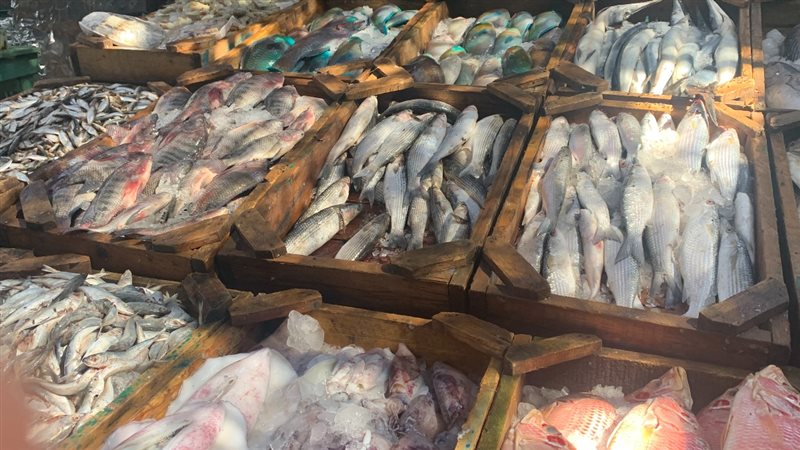 الحق والضلال