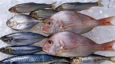 تراجع مفاجئ في اسعار جميع انواع السمك والأكولات البحرية اليوم