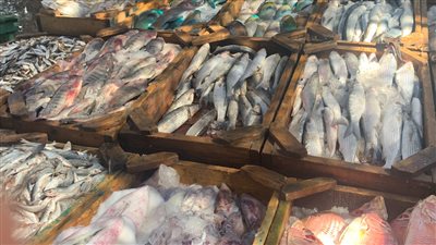 أسعار السمك سوق العبور اليوم الأربعاء 8 يونيو 2022