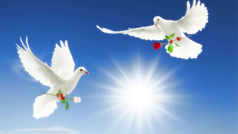 الحق والضلال