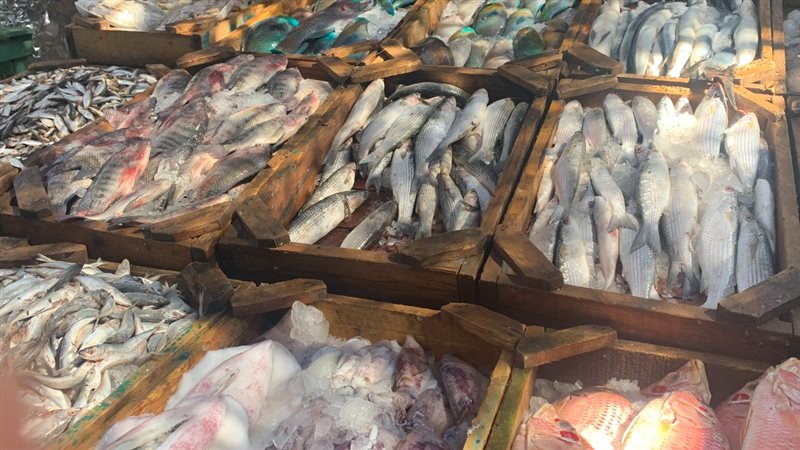 الحق والضلال