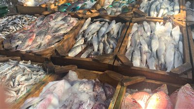 سعر السمك قرب نهاية التعاملات فى مصراليوم 8 يونيو 2022