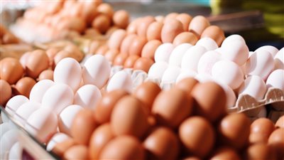 طبق البلدي بـ 60 جنيه أسعار البيض في الأسواق المحلية اليوم الأربعاء