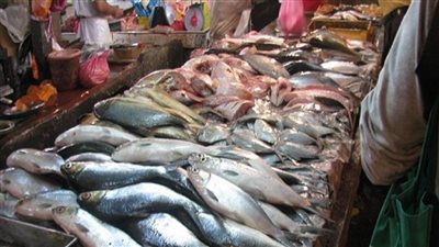 البلطي برخص التراب أسعار الأسماك والمأكولات البحرية اليوم الاربعاء 8 يونية