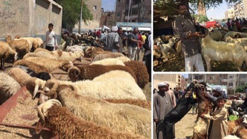 الحق والضلال