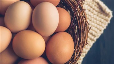 سعر طبق البيض اليوم فى مصر 11 يونيو 2022