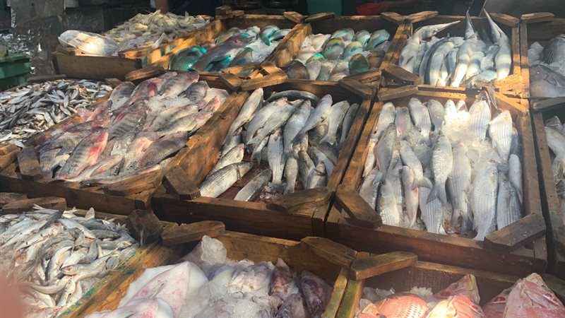 الحق والضلال