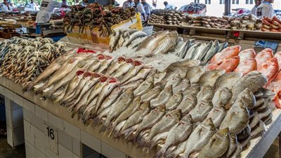اسعار السمك فى سوق العبور اليوم الاحد 12 6 2022