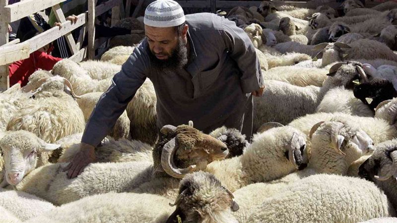 الحق والضلال