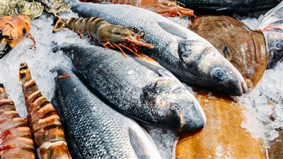 أسعار السمك فى الأسواق المصرية اليوم الإثنين الموافق 13 يونيو 2022