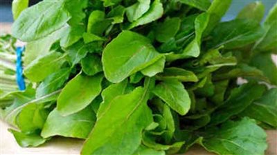 فوائد الجرجير للنساء خاصة للمتزوجات و الحوامل