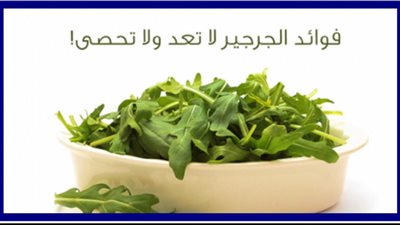 هاتزرعه تحت السرير فوائد الجرجير ملهاش عدد