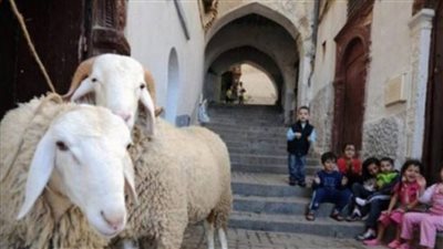 موعد عيد الاضحي المبارك فلكيا