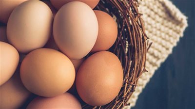 أسعار طبق وكرتونة البيض فى مصر اليوم الاربعاء الموافق 15 يونيو 2022