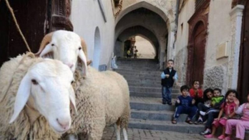 الحق والضلال