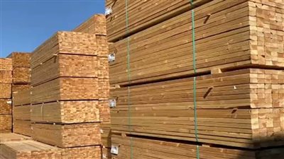 سعر متر الخشب فى مصر اليوم السبت 18 يونيو 2022