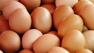 سعر البيض اليوم السبت 18 يونيو 2022 في الأسواق المصرية