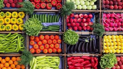 اسعار الخضروات اليوم الاحد 19 6 2022