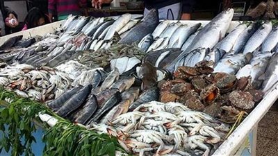 أسعار الأسمك فى سوق العبور اليوم الإثنين 20 يونيو 2022