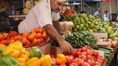 الطماطم 3 جنيه ونص تعرف على أسعار الخضروات فى مصر اليوم 20 يونيو 2022