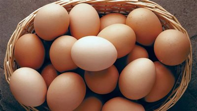 سعر البيض اليوم الاثنين الموافق 20 يونيو 2022