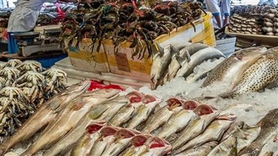 أسعار الأسماك فى مصر اليوم 20 يونيو 2022