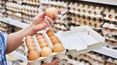 سعر البيض في الأسواق اليوم الثلاثاء 21 يونيو 2022