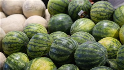 حقيقه هرمونات الخوخ وسبب انخفاض البطيخ والكنتالوب