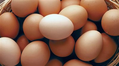 سعرالبيض في الأسواق اليوم الأربعاء الموافق 22 يونيو 2022