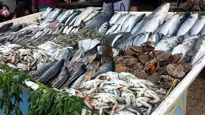 أسعار الأسماك فى سوق العبور اليوم الأربعاء 22 يونيو 2022