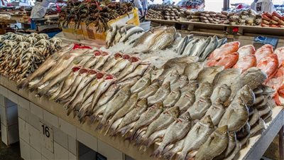 أسعار السمك فى سوق العبور اليوم الجمعة 24 يونيو 2022