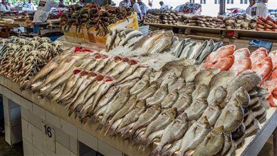 اسعار السمك بجميع انواعه اليوم فى الاسواق