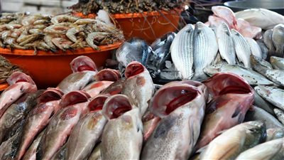 أسعار الأسماك فى مصر اليوم السبت 25 يونيو 2022