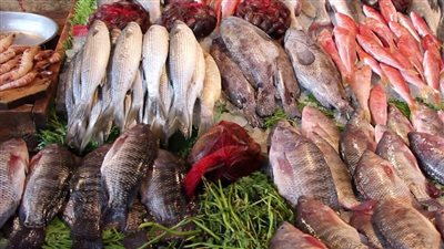 اسعار السمك والجمبرى والبلطي والبورى فى الاسواق اليوم