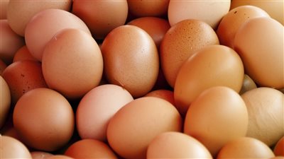 سعر البيض في الأسواق المصرية اليوم الاثنين 27 يونيو 2022
