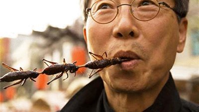 بالفيديو .. هل تعلم ان هناك حشرة تاكلها يومياً وانت لاتعلم !!