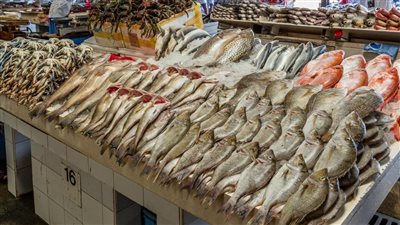 أسعار الأسماك فى الأسواق اليوم 28 يونيو 2022