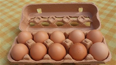 سعر البيض اليوم الأربعاء الموافق 29 من شهر يونيو 2022