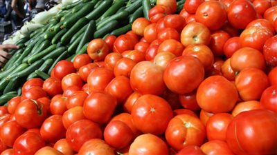 سعر الخضار اليوم الأربعاء الموافق 29 يونيو 2022