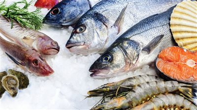 سعر السمك اليوم 29 6 2022