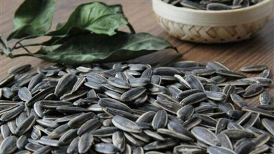 للسيدات ماذا يحدث عند تناول اللب السوري