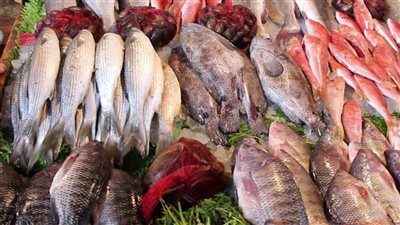 اسعار السمك بجميع انواعه جمبرى وبلطي وبورى