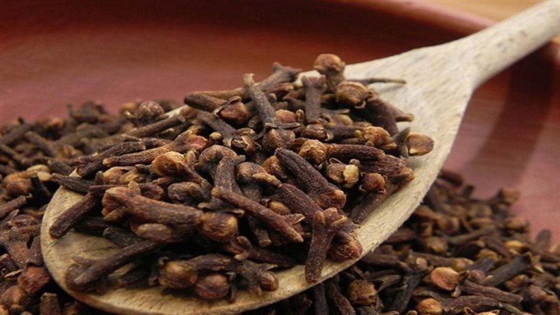 الحق والضلال