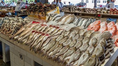 اسعار السمك بجميع انواعه فى سوق العبور اليوم السبت 2 7 2022