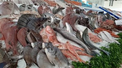 اسعار السمك اليوم فى سوق العبور شوف الجمبرى وصل كام