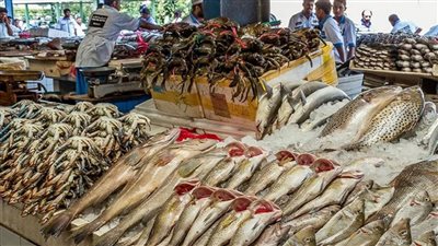 اسعار الاسماك فى سوق العبور اليوم الاثنين