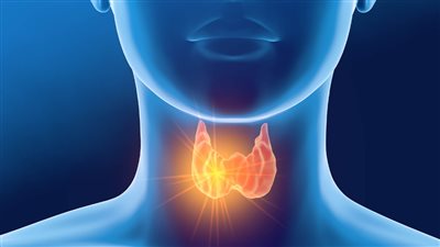 وصفات طبيعية لعلاج خلل الغدة الدرقية