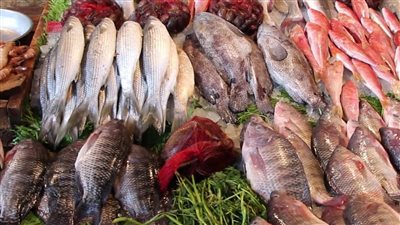 اسعار السمك اليوم الثلاثاء فى سوق العبور بجميع انواعه