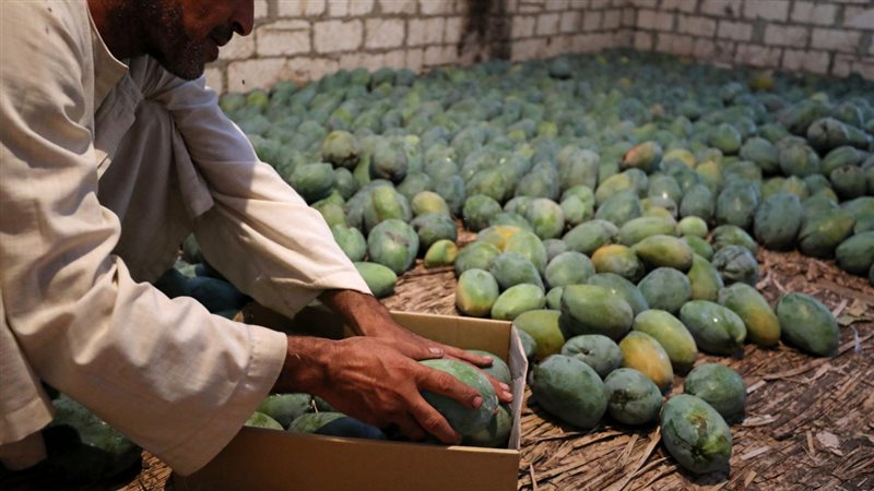 الحق والضلال