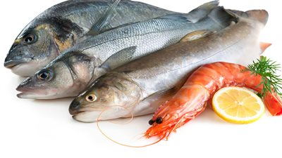 سعر الاسماك اليوم 6 7 2022